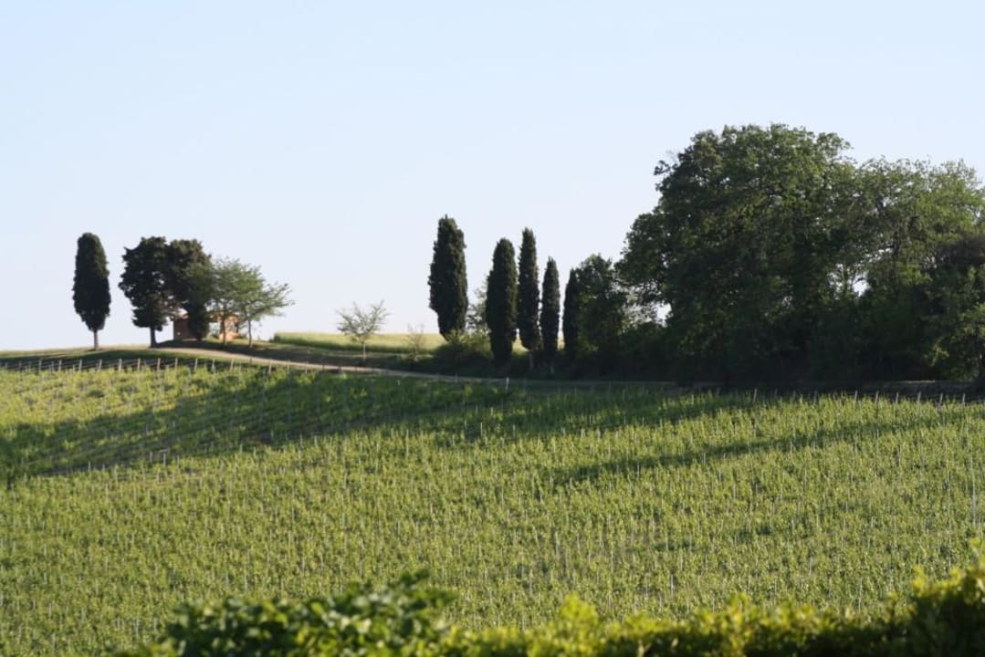 Nähere Umgebung Agriturismo Colleverde