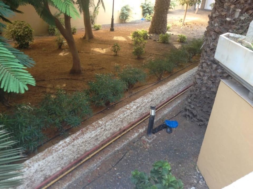 Zimmerausblick aus dem Kellerzimmer SBH Costa Calma Beach Resort