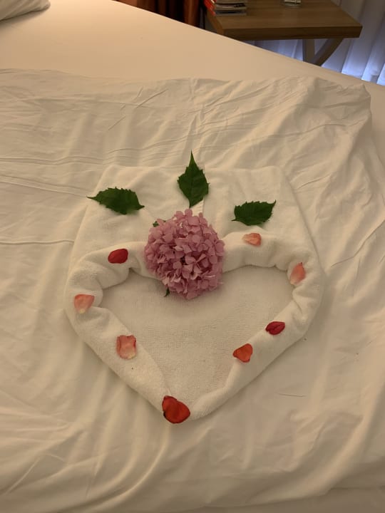 Zimmer Botanik Hotel & Resort