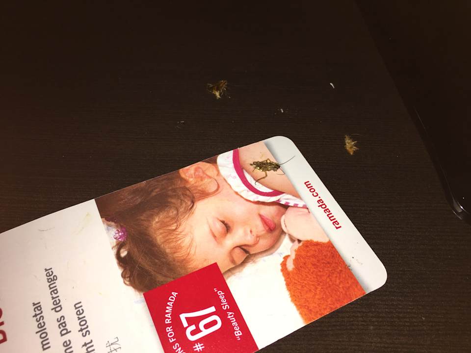 Zimmer Hotel Ramada Inn of Naples