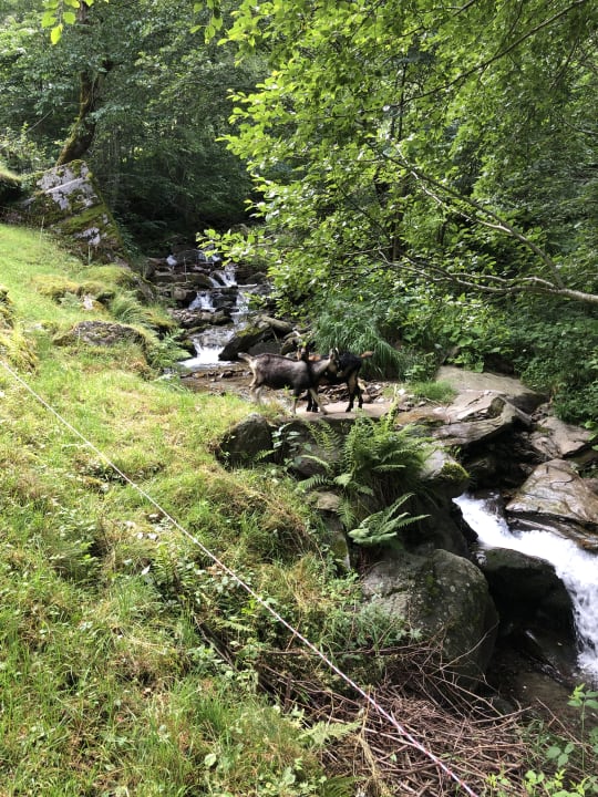 Außenansicht Hotel Wiesenhof Garden Resort