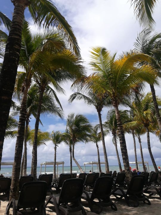 Select Bereich am Strand Sandos Caracol Eco Resort & Spa Select Club Adults only - All Inclusive