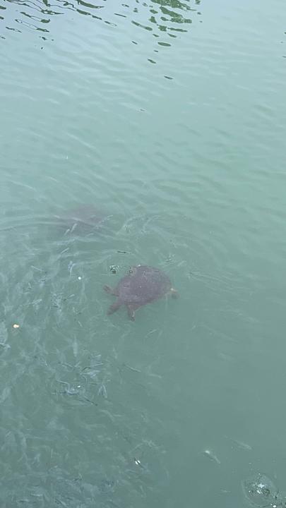 Sonstiges Marvida Family Eco