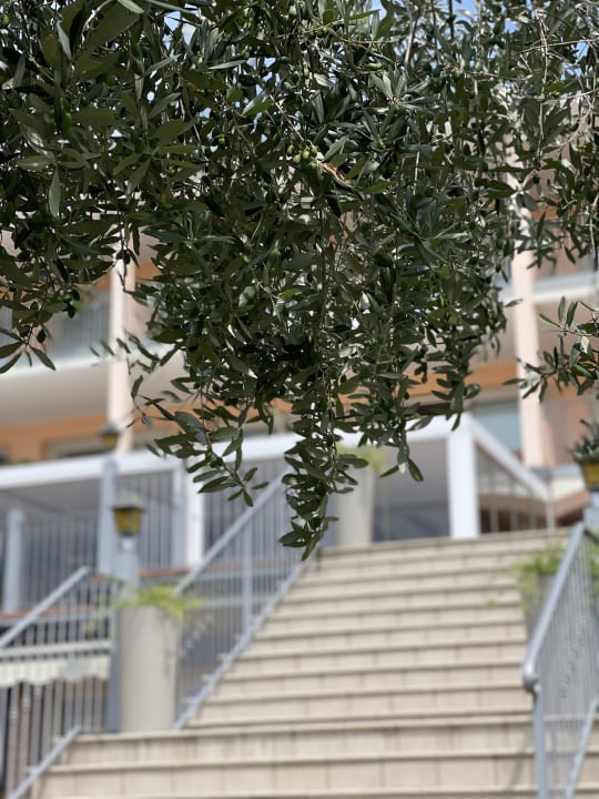 Außenansicht Boffenigo - The Golden Hour