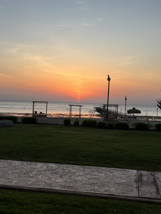 Ausblick Malikia Resort Abu Dabbab
