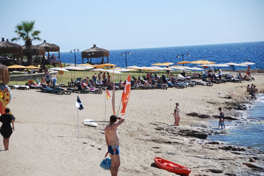 Duża plaża Royal Teos Thermal Resort Clinic & SPA