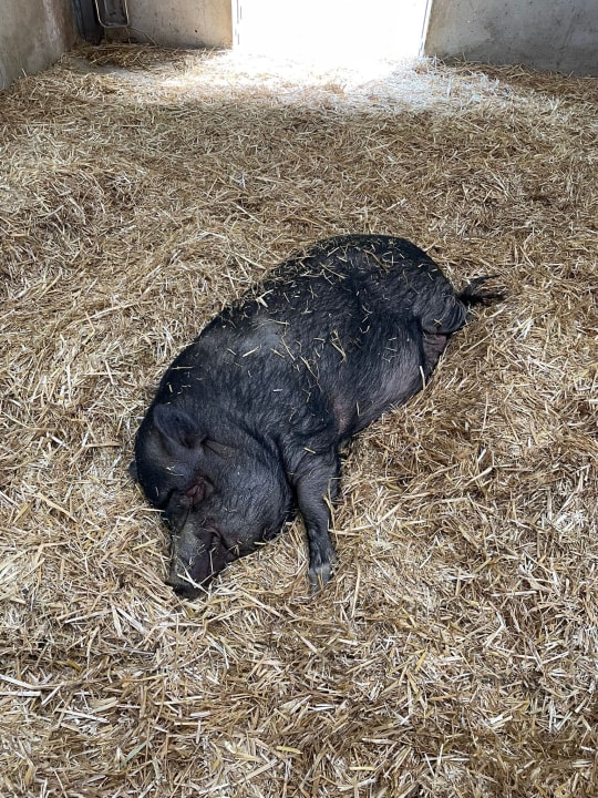 Sport & Freizeit Villages Nature Paris