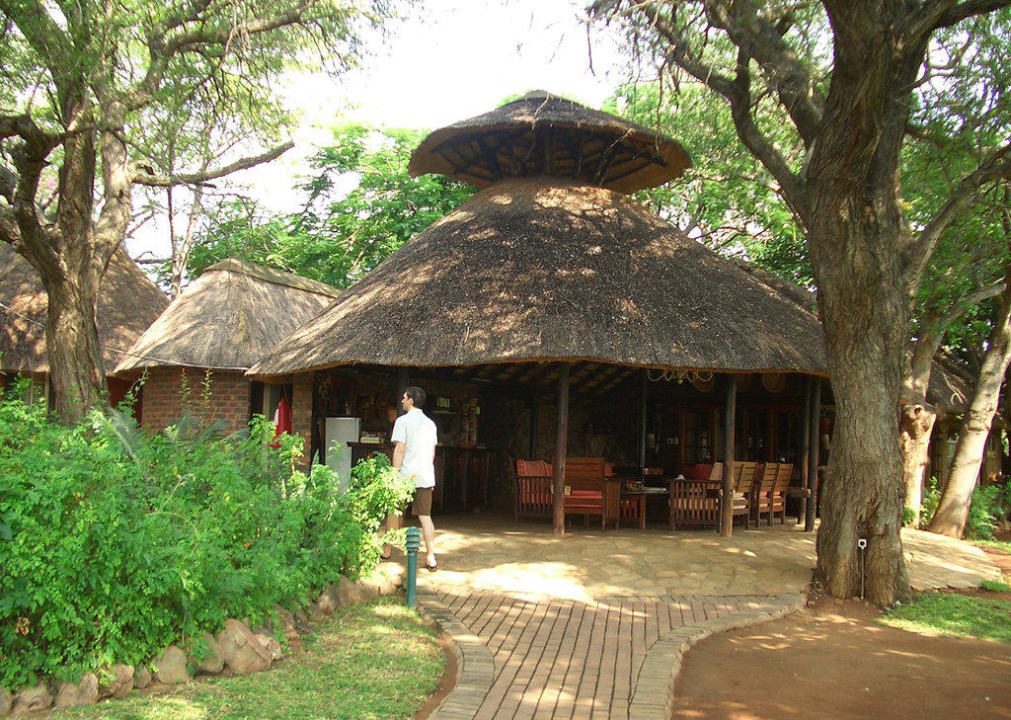 Empfang Mohlabetsi Safari Lodge