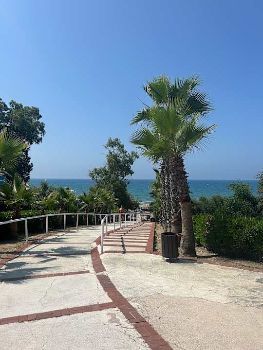 Gartenanlage Alba Resort Hotel