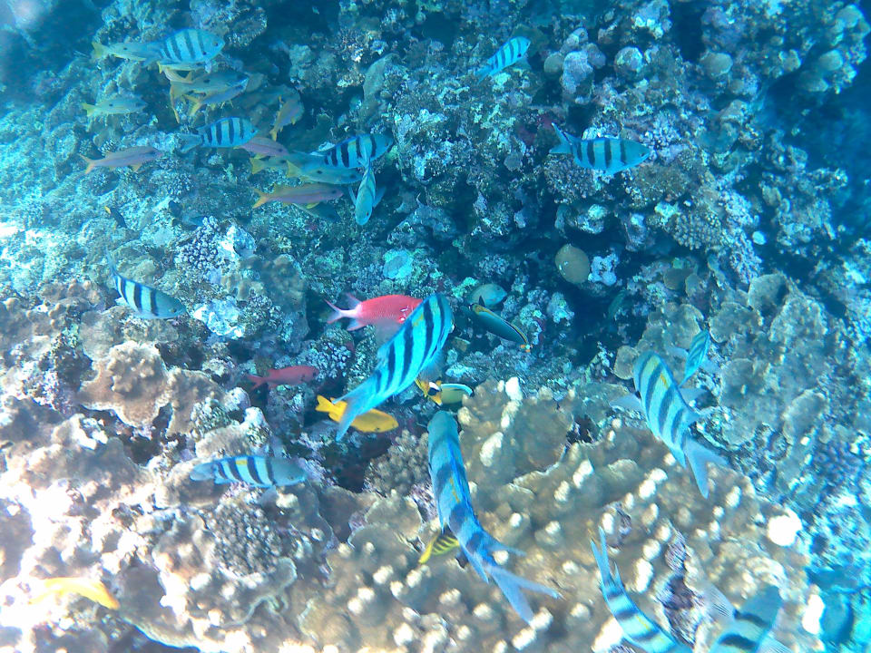 Strand Casa Mare Resort