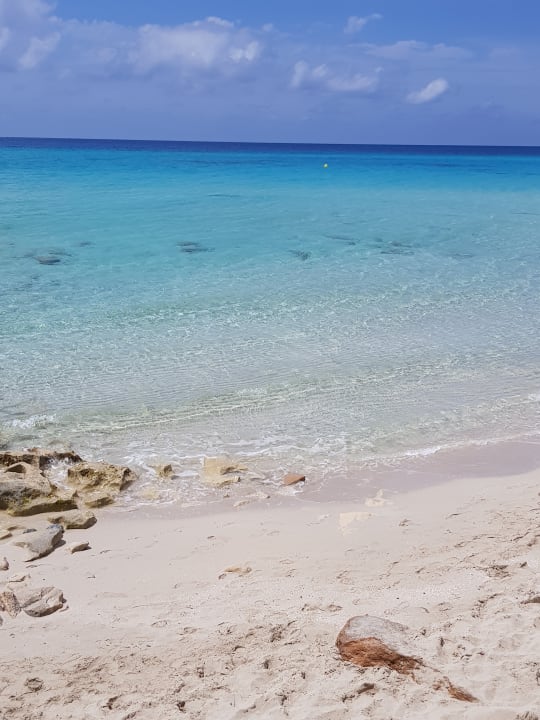 Strand Hotel Riu Palace La Mola