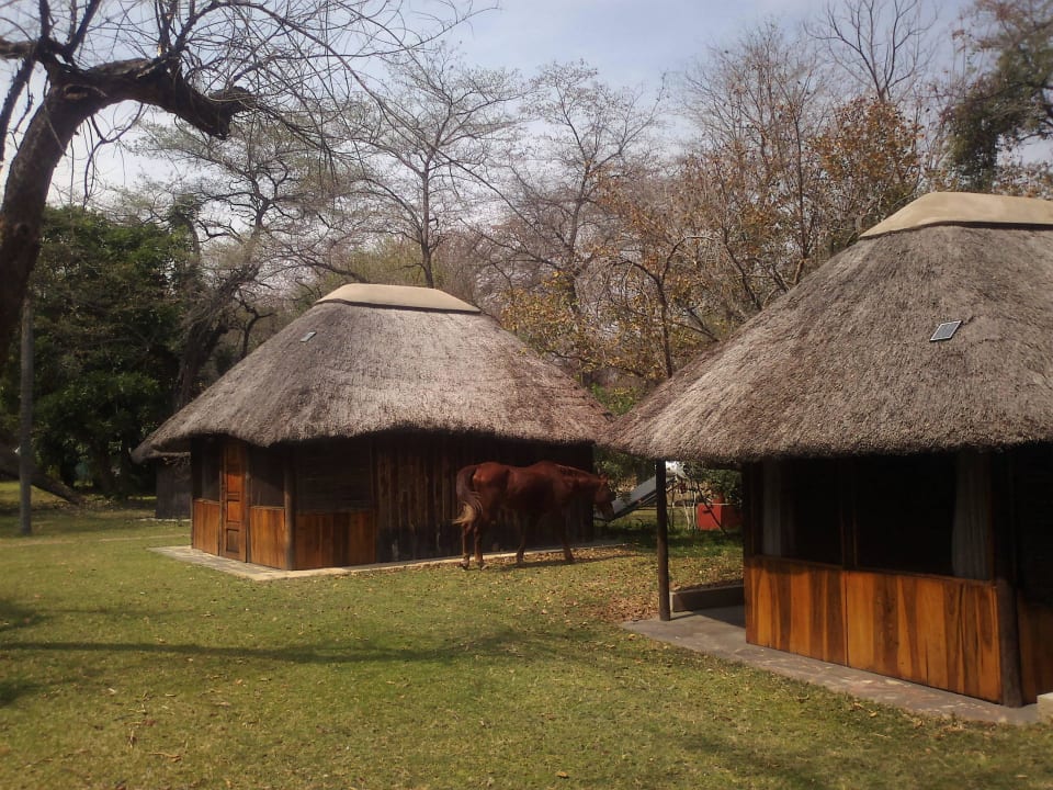 Garden View Bungalow. n'Kwazi Lodge And Camping Site