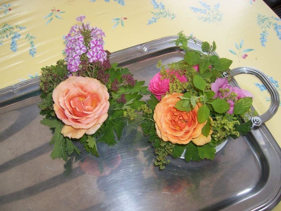 Sonstiges Hotel-Motiv Ferienwohnung Gartensuite-Potsdam
