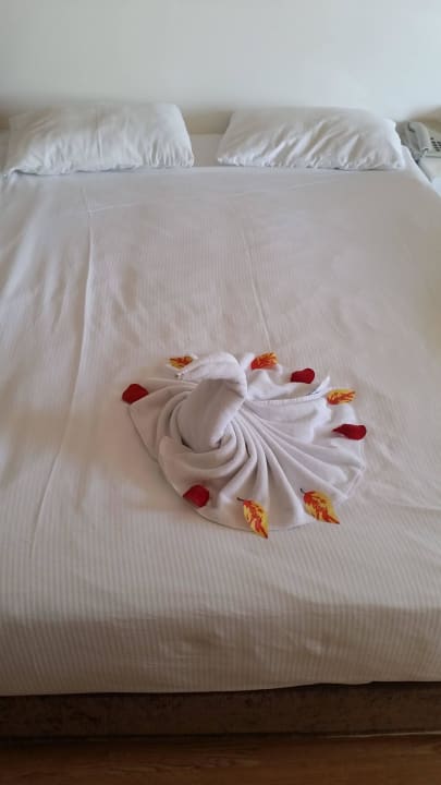 Schön gebettet Seaden Sea World Resort & Spa