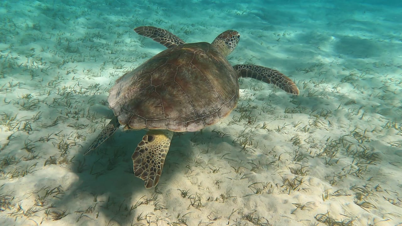 Strand Dream Lagoon Resort & Aqua Park