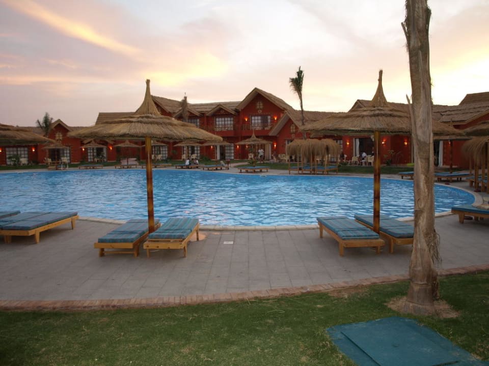 Widok z pokoju na basen Pickalbatros Jungle Aqua Park Resort - Neverland Hurghada