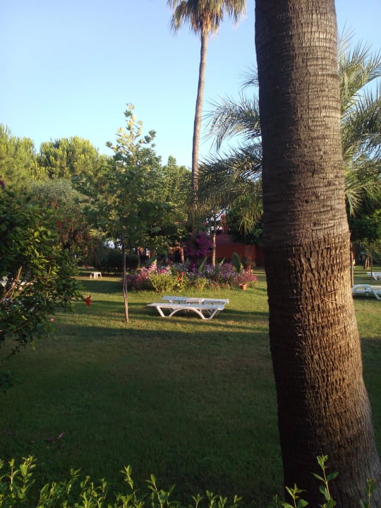 Liegewiese Ruhepool Club Turtas Beach Hotel