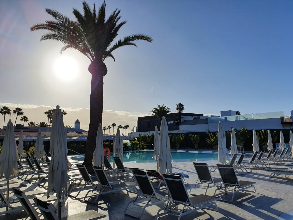 Pool Canary Garden Club