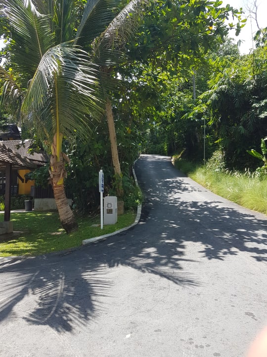 Gartenanlage Moracea by Khao Lak Resort