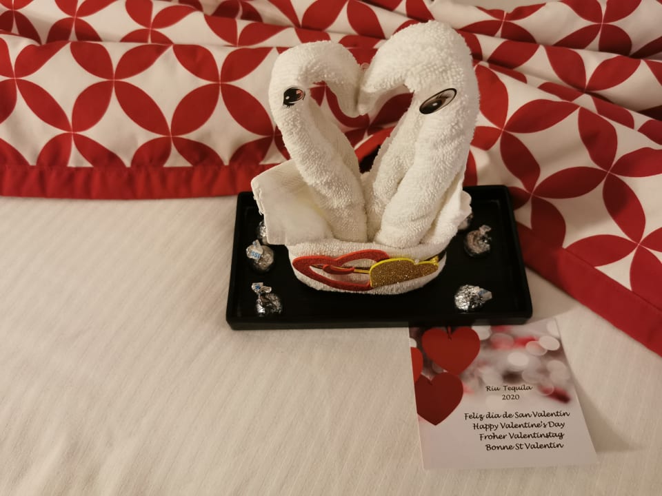 Zimmer Hotel Riu Tequila