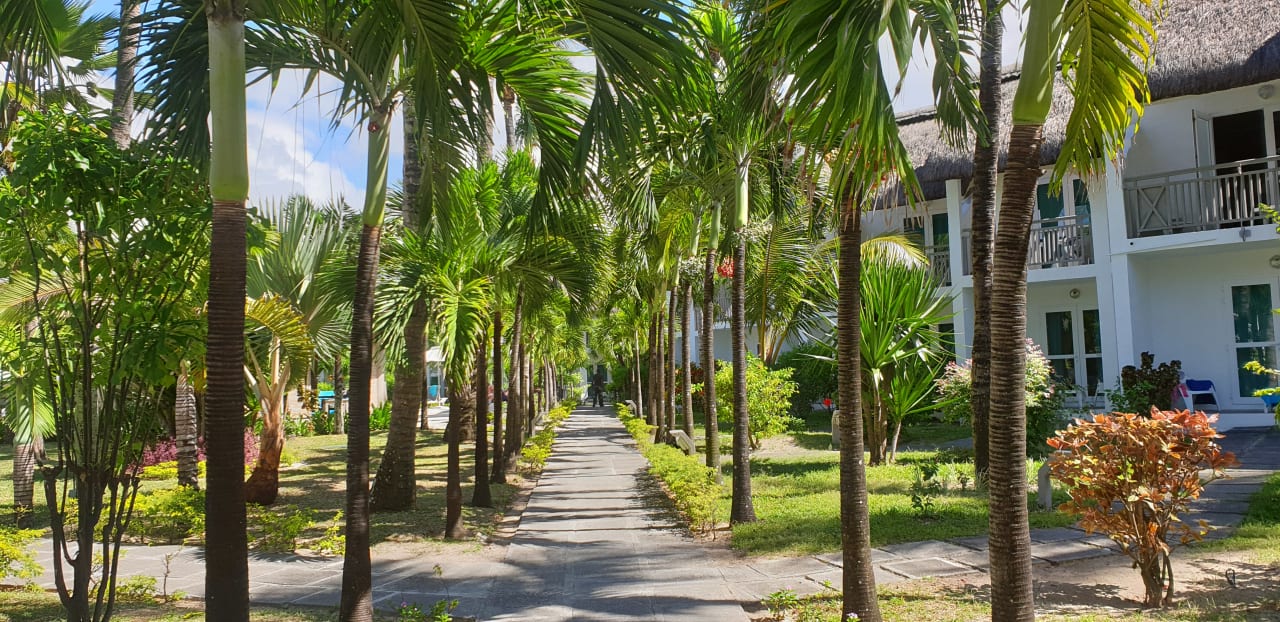 Gartenanlage Veranda Palmar Beach Hotel