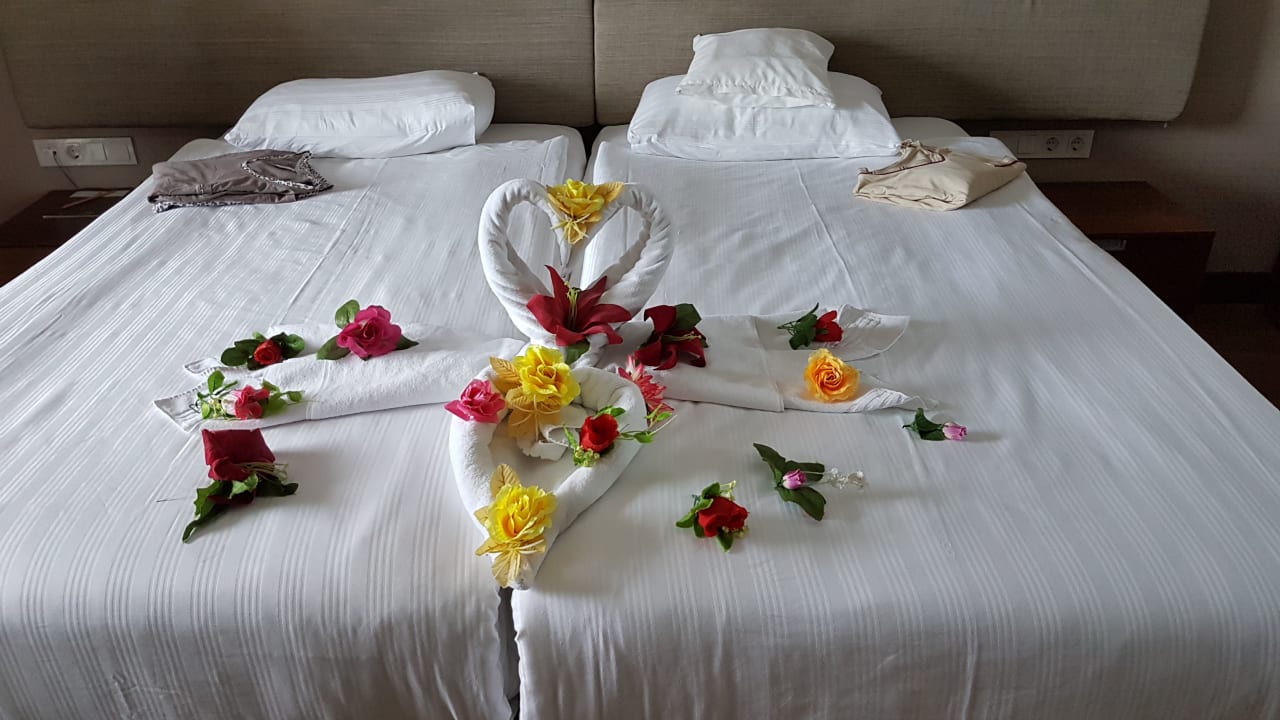 Zimmer Commodore Elite Suites & Spa - Adults only