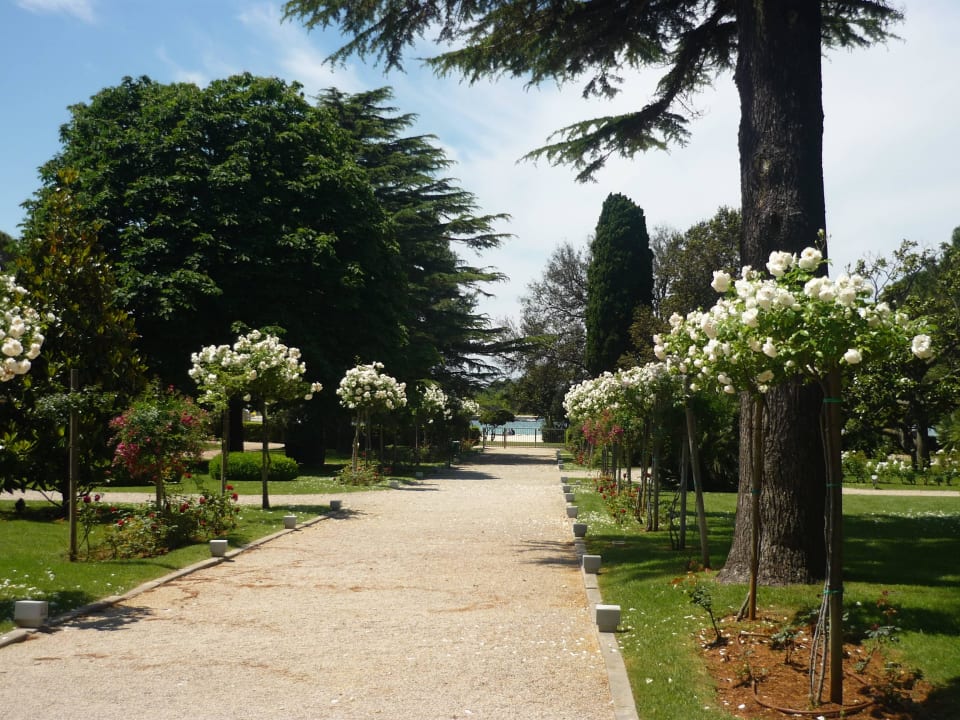 View to the coastline Falkensteiner Hotel Adriana