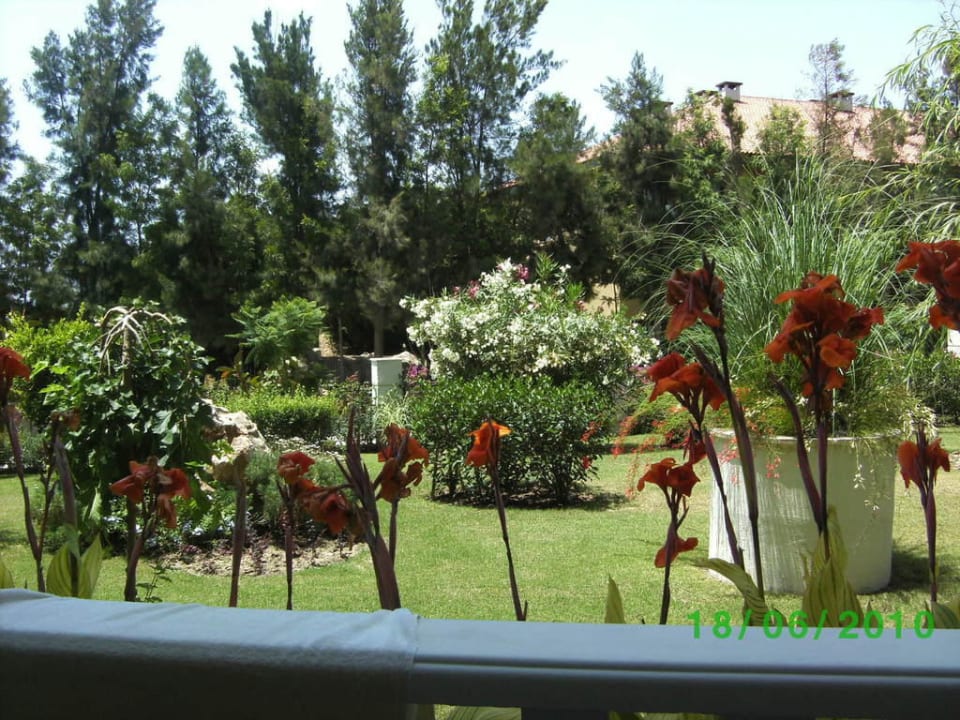 Aussicht vom Balkon Alba Queen Hotel