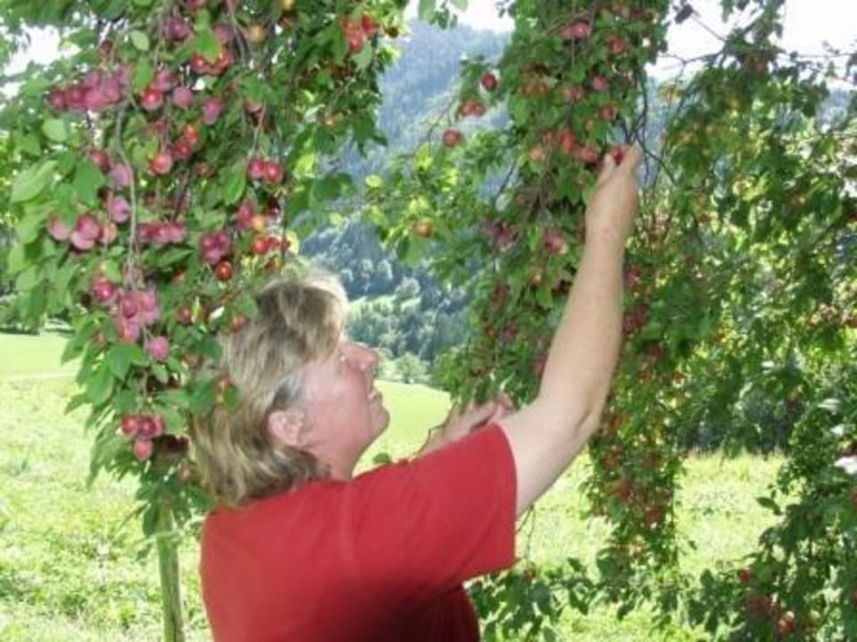 Wirtin Lisbeth Bauernhof Lechnerbauer