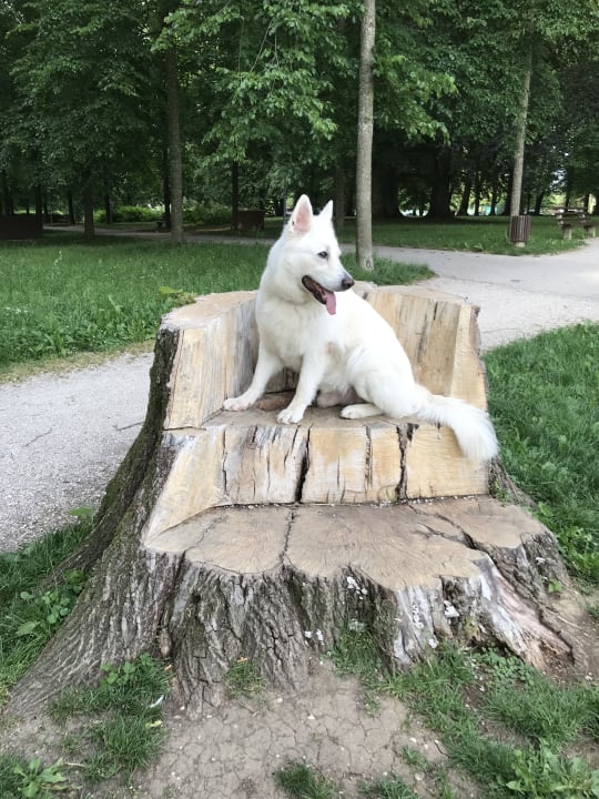 Gartenanlage Kurhotel Vitana