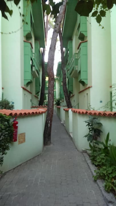Weg zum Zimmer Ulusoy Kemer Holiday Club