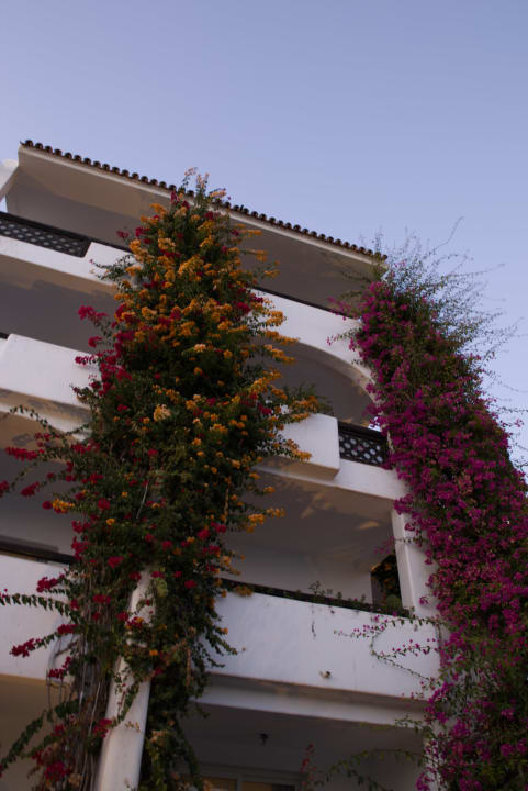 Gartenanlage TUI BLUE Riu Tikida Beach