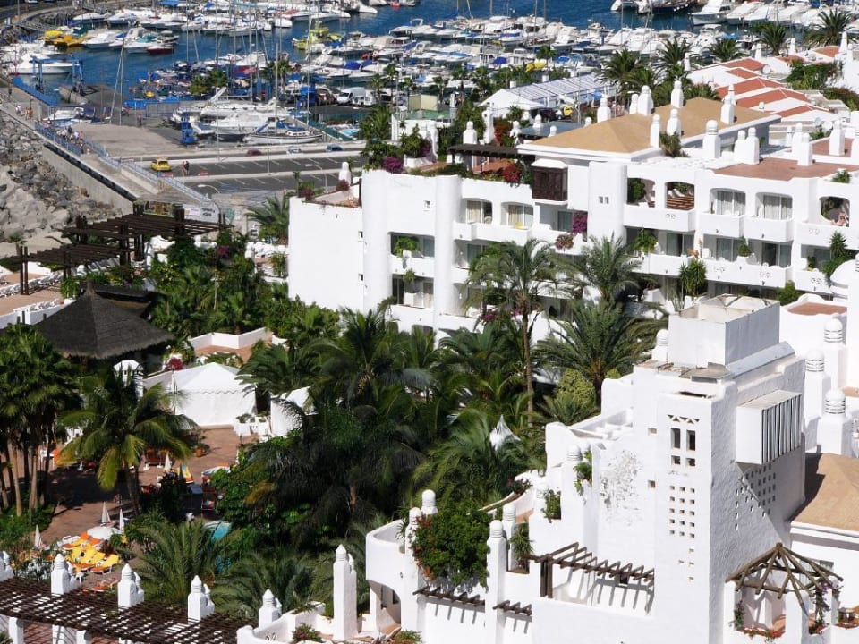 Jardin Tropical Dreams Jardín Tropical