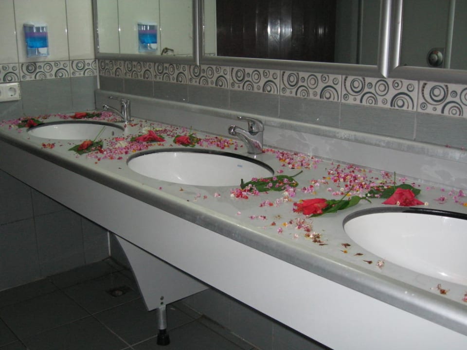 Красота в туалетной комнате Selectum Family Comfort Side