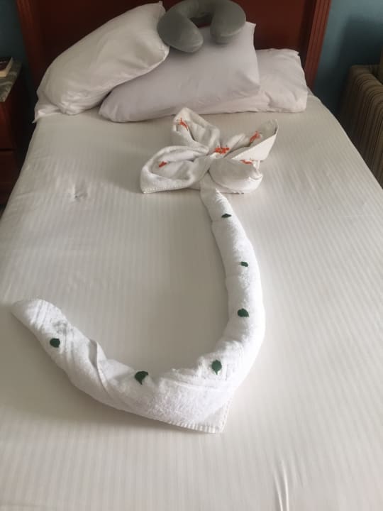 Zimmer Hotel Titanic Palace