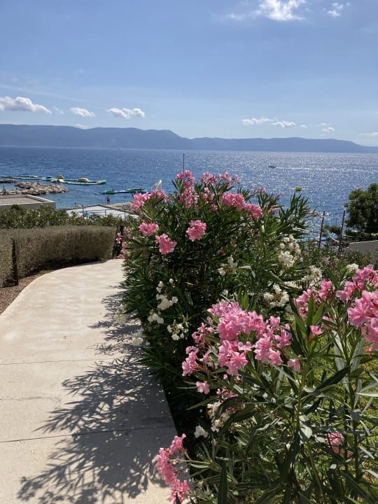 Ausblick Girandella Resort Valamar Collection