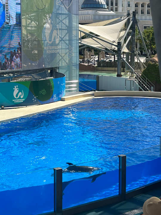 Pool The Land of Legends Kingdom Hotel