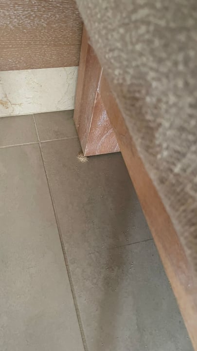 Zimmer Kn Arenas del Mar Hotel