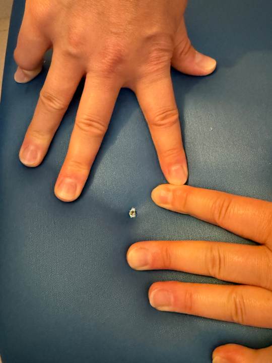 Zimmer Green Garden Aparthotel