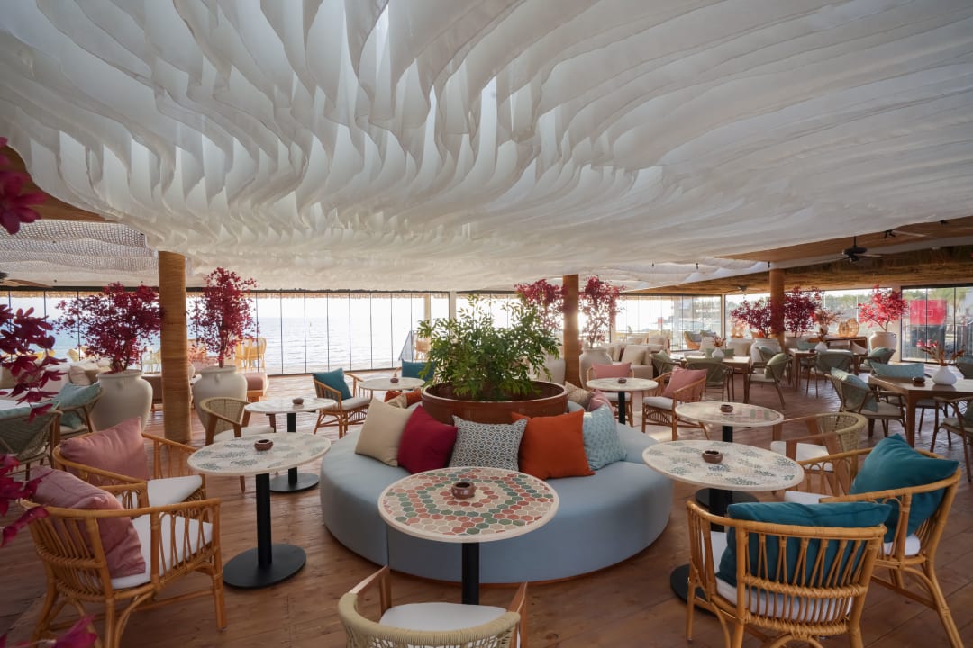 Sonstiges Desert Rose