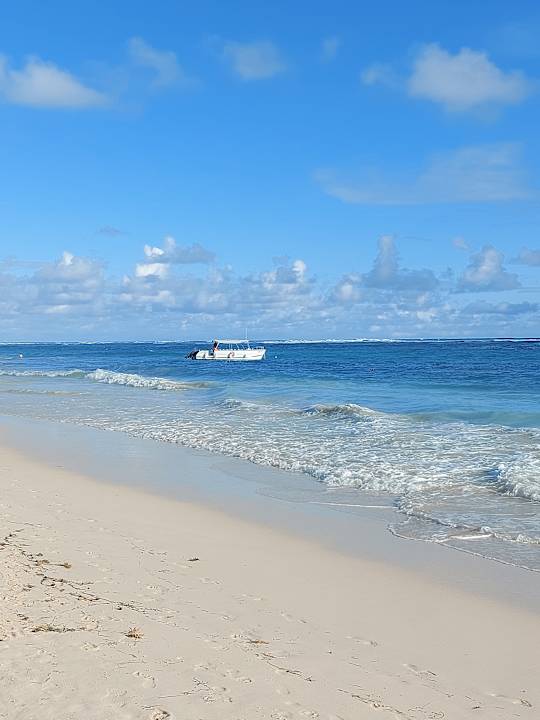 Strand Hotel Riu Palace Punta Cana