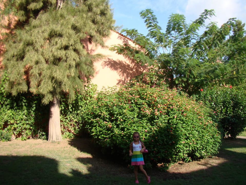 Сад Limak Limra Hotel & Resort