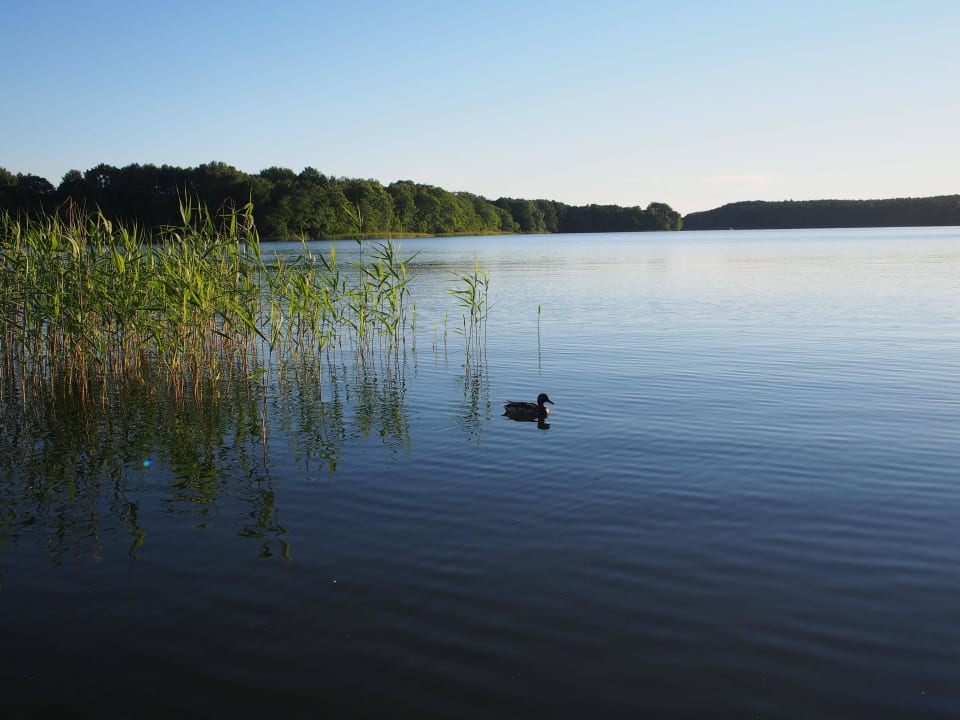 Gut Pälitzhof - Badestelle Ferienhäuser Gut Pälitzhof