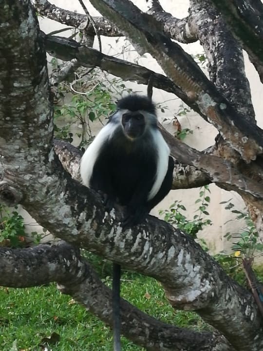 Gartenanlage Neptune Village Beach Resort & Spa