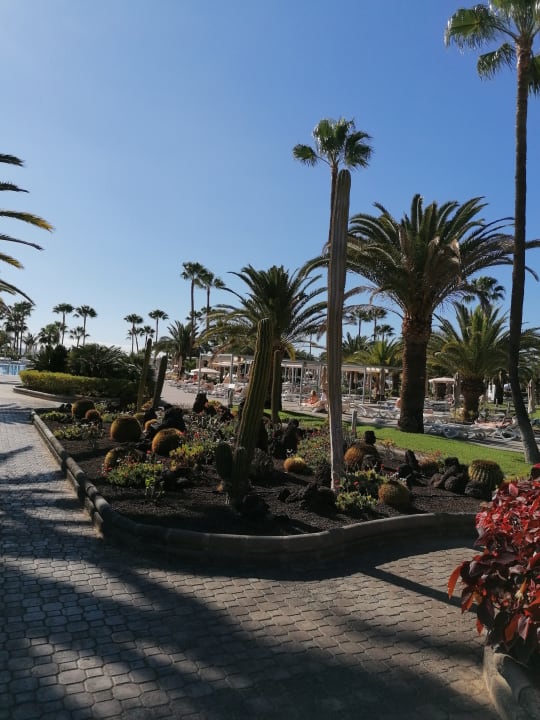 Gartenanlage Hotel Riu Gran Canaria