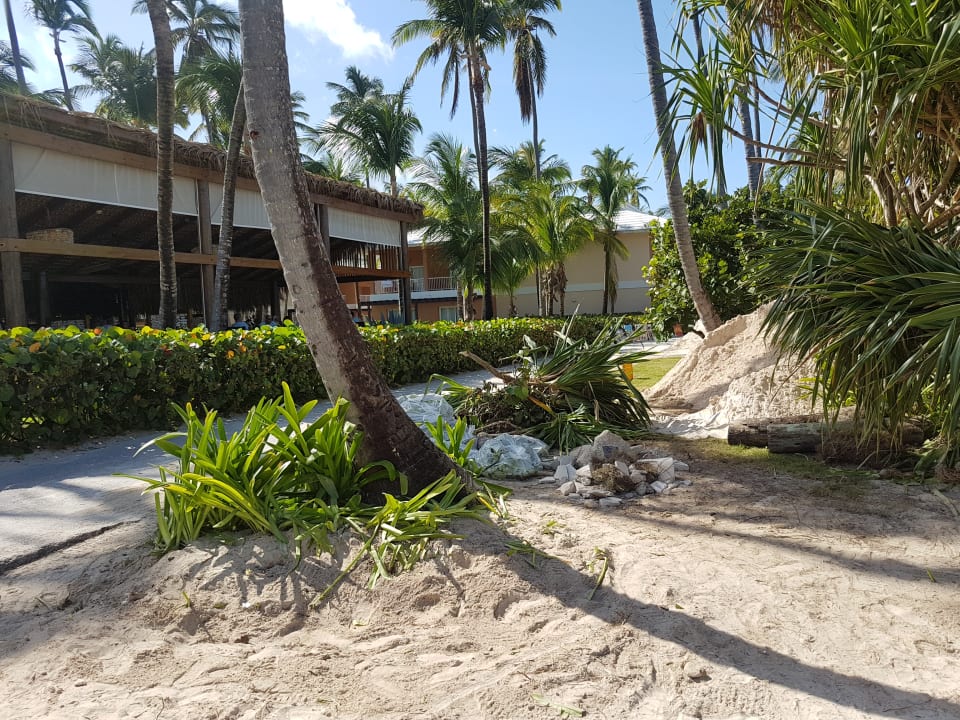 Gartenanlage Hotel Grand Palladium Palace Resort, Spa & Casino