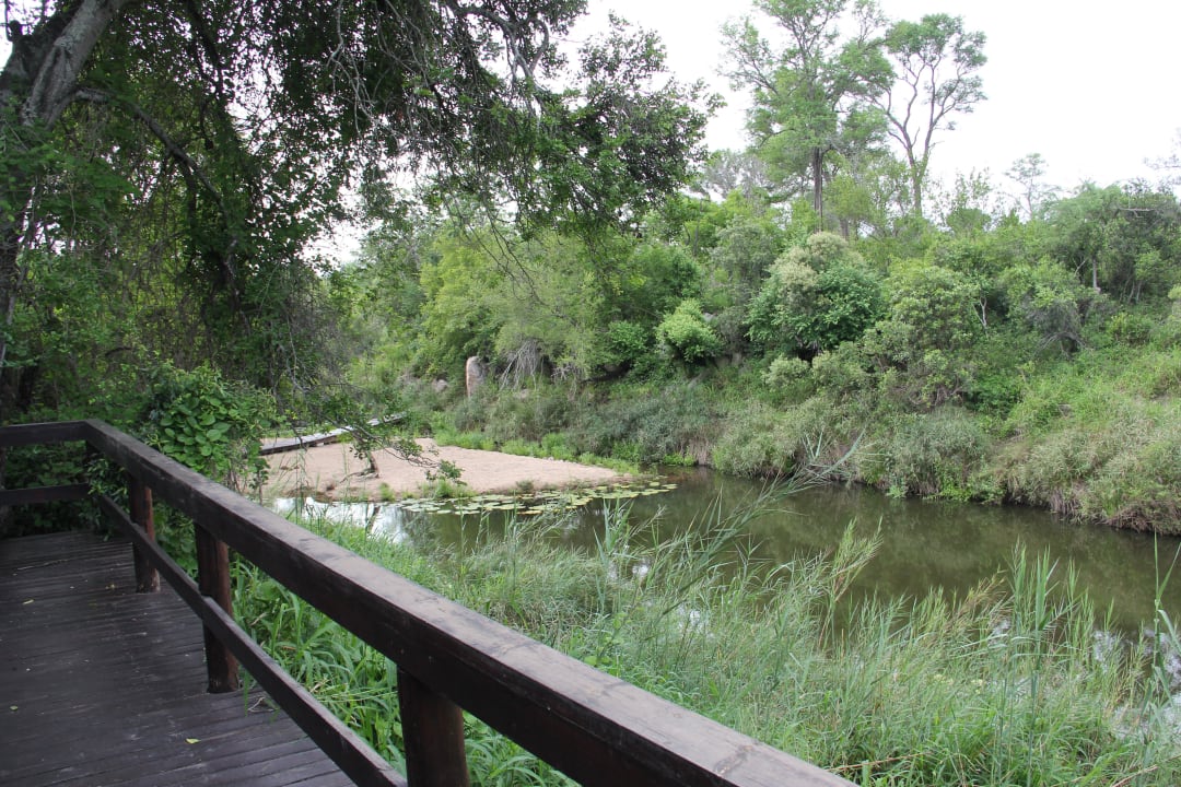 Privater Ausblick Sabi Sabi Little Bush Camp