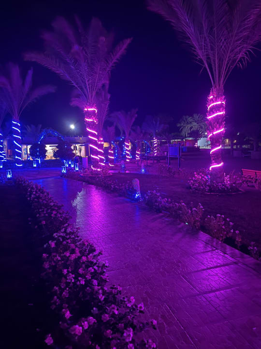 Gartenanlage Coral Sun Beach