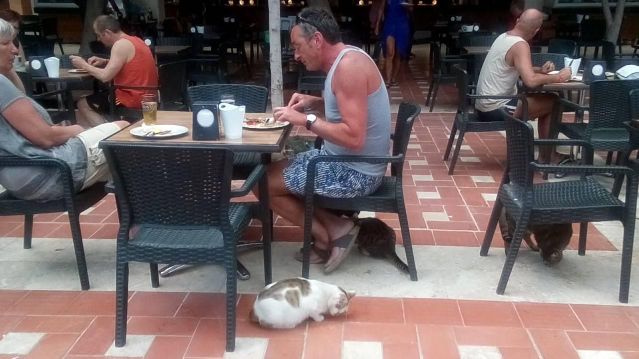 Снек-бар Limak Limra Hotel & Resort