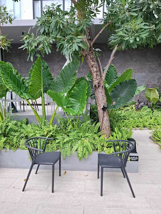 Gartenanlage Arden Hotel and Residence by At Mind